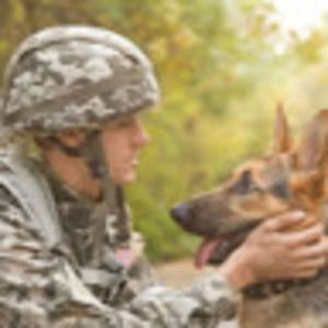 Meet your Posher, Joseph